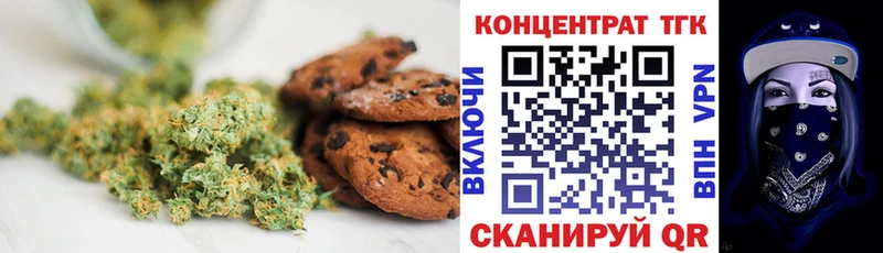 Купить закладки  Жердевка  Cannafood конопля 