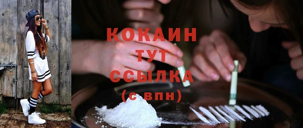 молекула духа Козельск