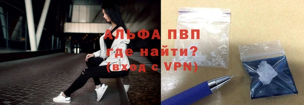 молекула духа Козельск