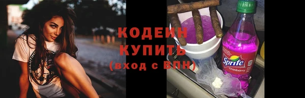 молекула духа Козельск