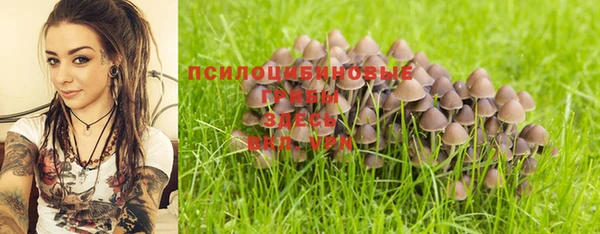 соль курить ск Козловка
