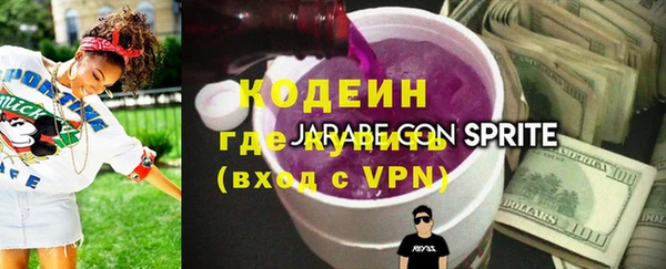 молекула духа Козельск