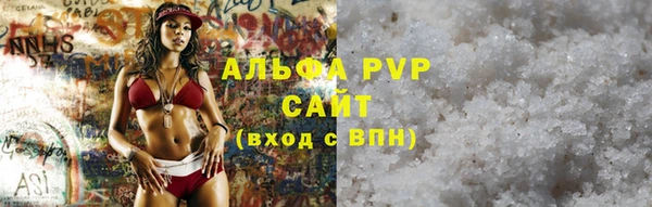 молекула духа Козельск