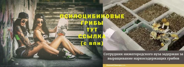 молекула духа Козельск