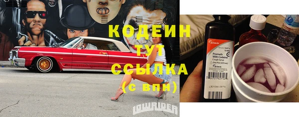 молекула духа Козельск