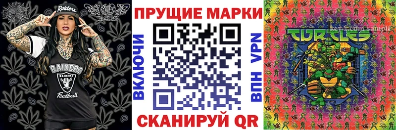 Купить закладки  Жердевка  Наркотические марки 1,5мг 